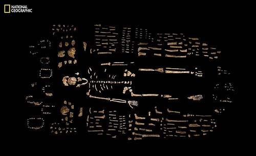 naledi6