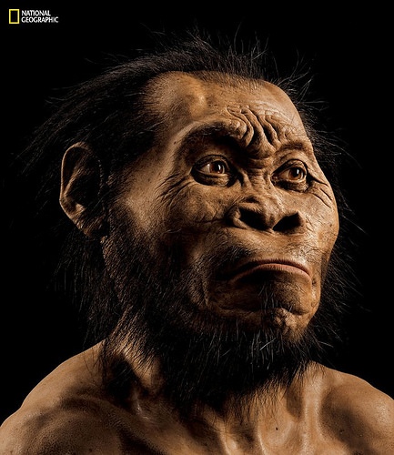 naledi1