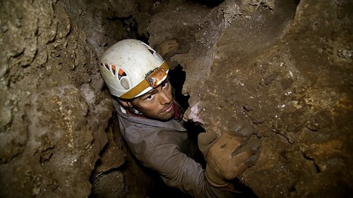 hnaledi6