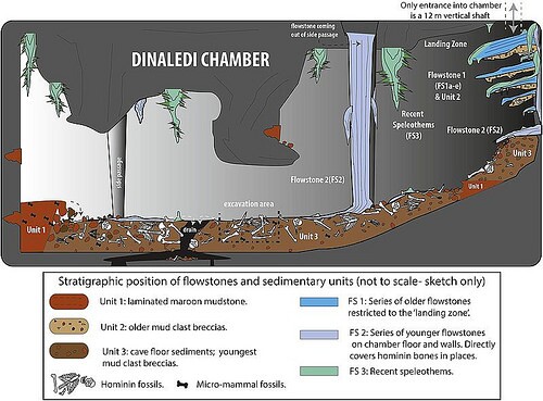 dinaledichamber
