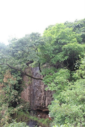 motacave5