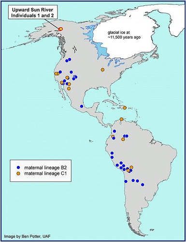 earlyamericangeneticspic2