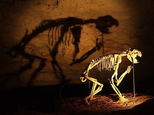 marsupiallion