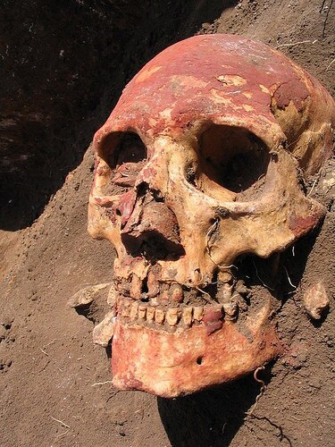 plaguepic2