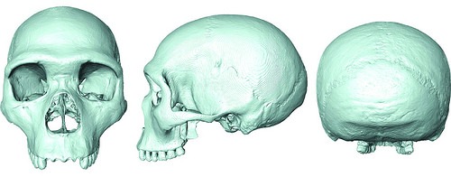 commonancestor2