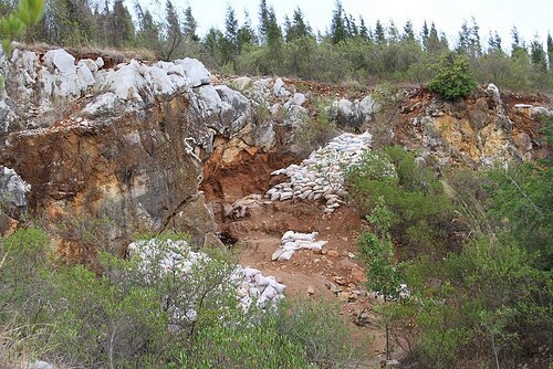 reddeerpic9