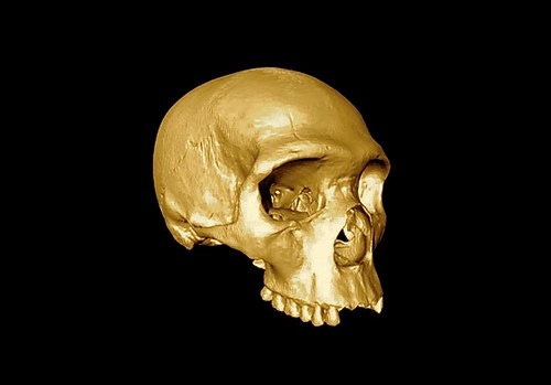 commonancestor1a