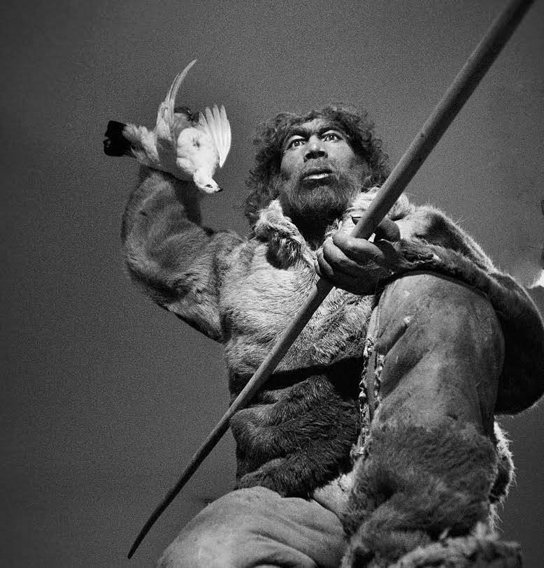 neandertalerpiccelldex1