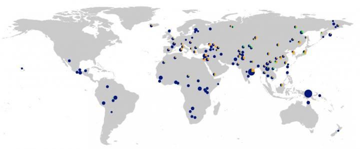 neandertalgenespic