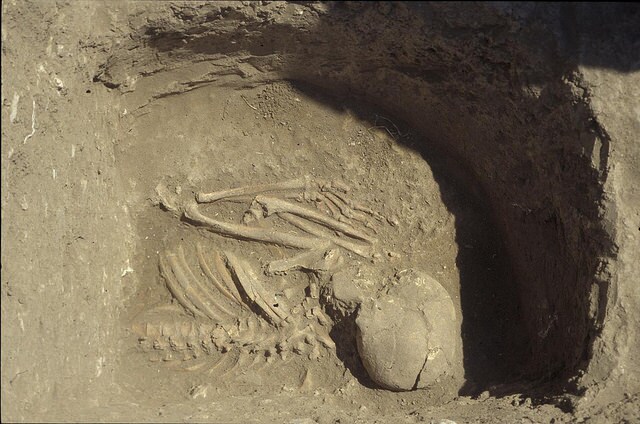 anatoliapic