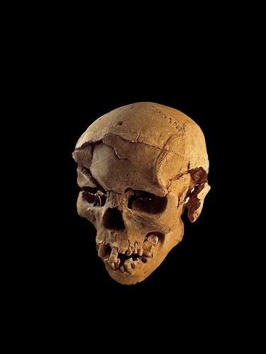 prehistoricmassacrepic1
