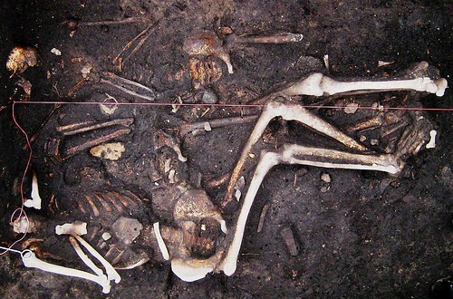 plaguepic