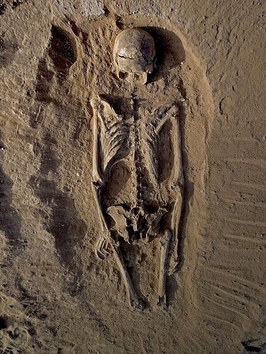 prehistoricmassacrepic3