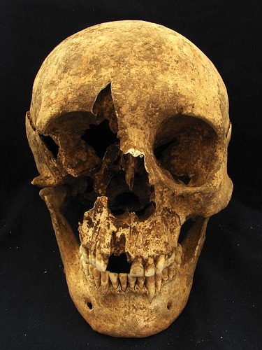romanskull
