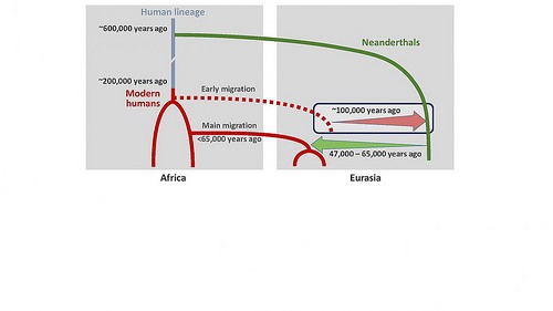 neandertalmodern