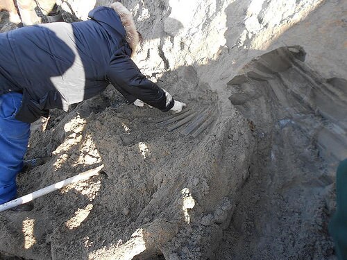 mammothpic1