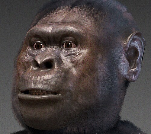 afarensispicciceromoraes
