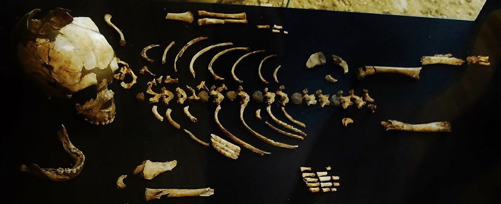  photo neanderthalleofyllnet_zpsoab0zxnd.jpg