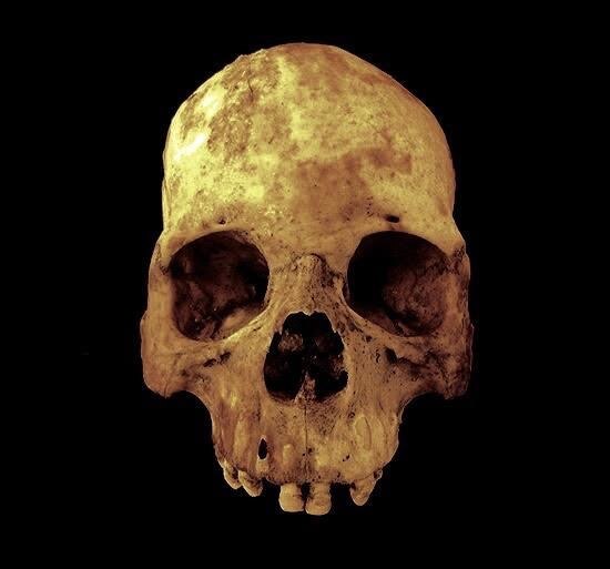 himalayanskull2