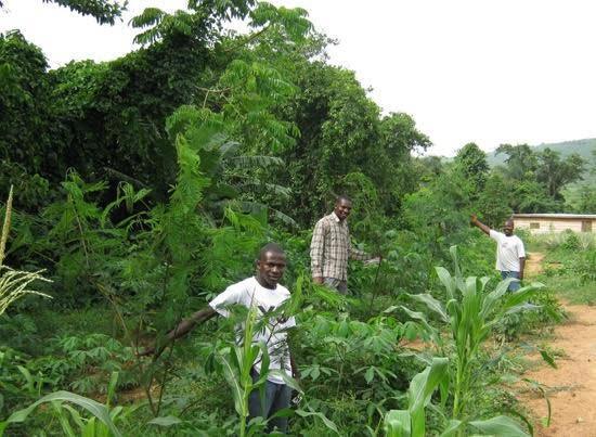 ghanafarmers2