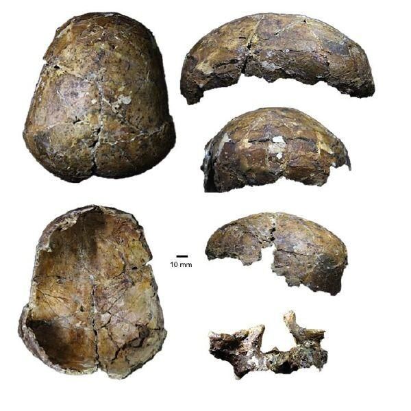 deepskull