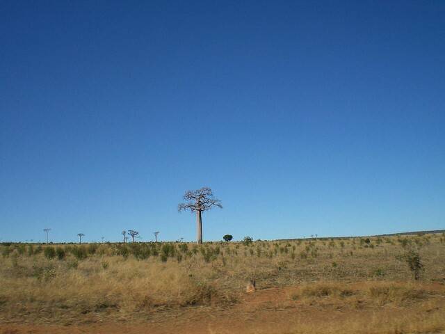 madagascar