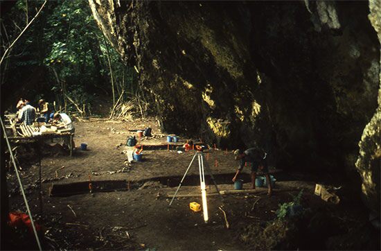 polynesiapic1