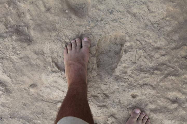 erectusfootprint