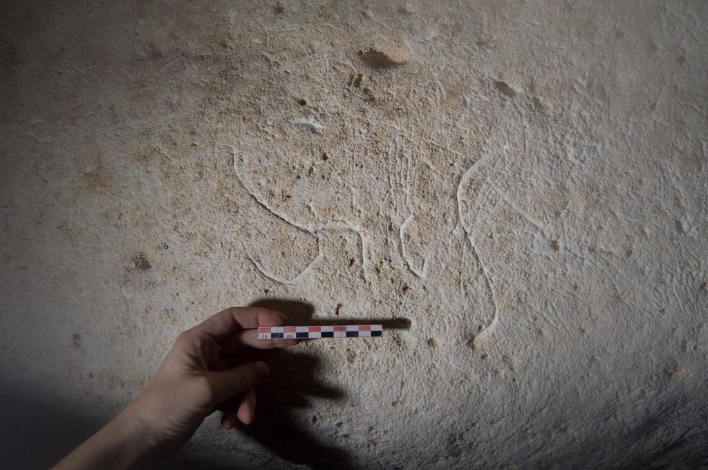 cavediscovery