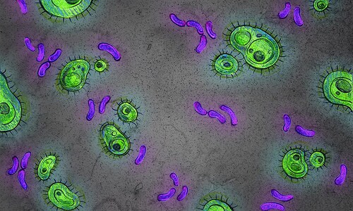 microbe