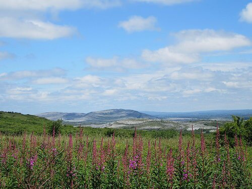caherconnellpic2