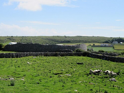 caherconnellpic4