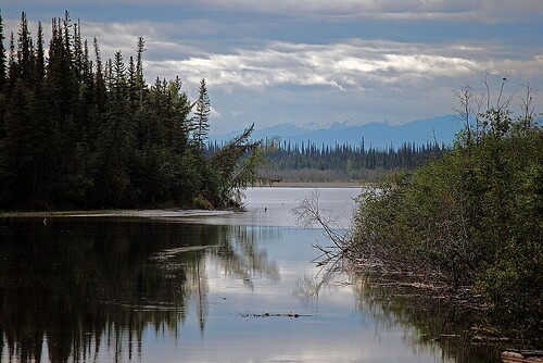 alaskaharveybarrison