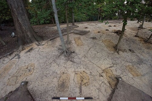 slavecemetery6