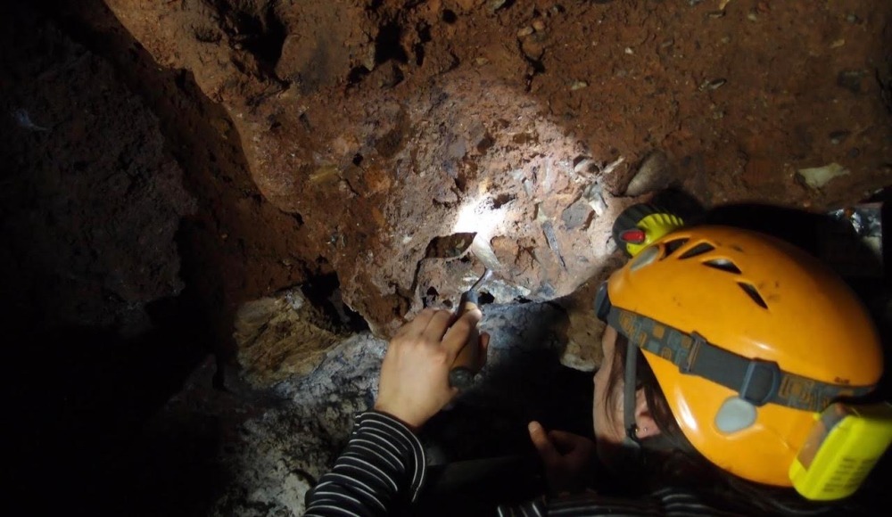 Sterkfontein: A History of Evolution in the Cradle of Humanity