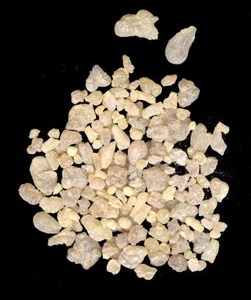 frankincensegumresin2