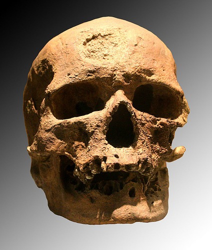 Cro-Magnon120