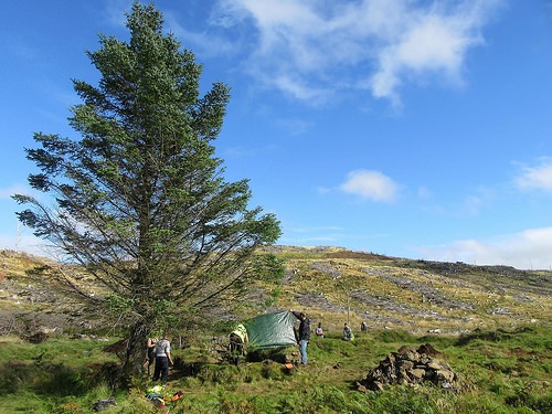 kildavie2