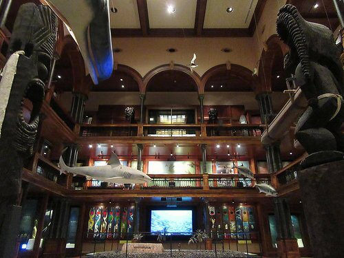 bishopmuseum1