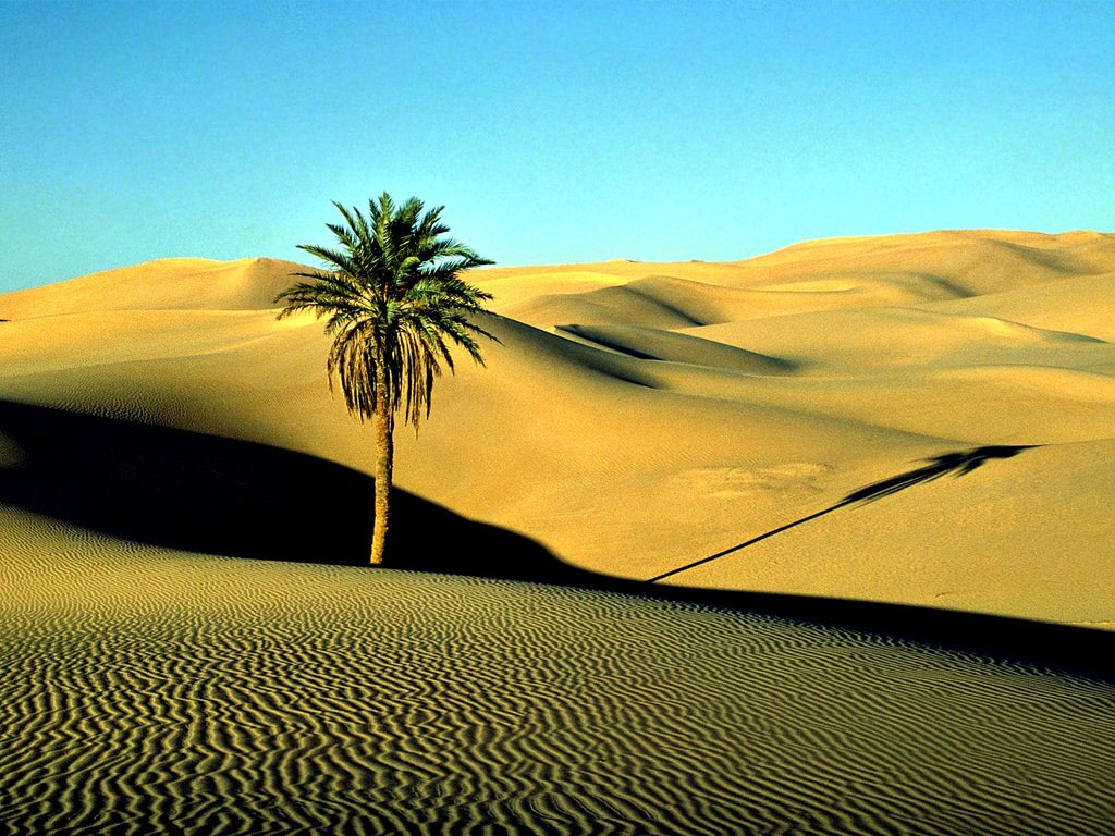libyandesert