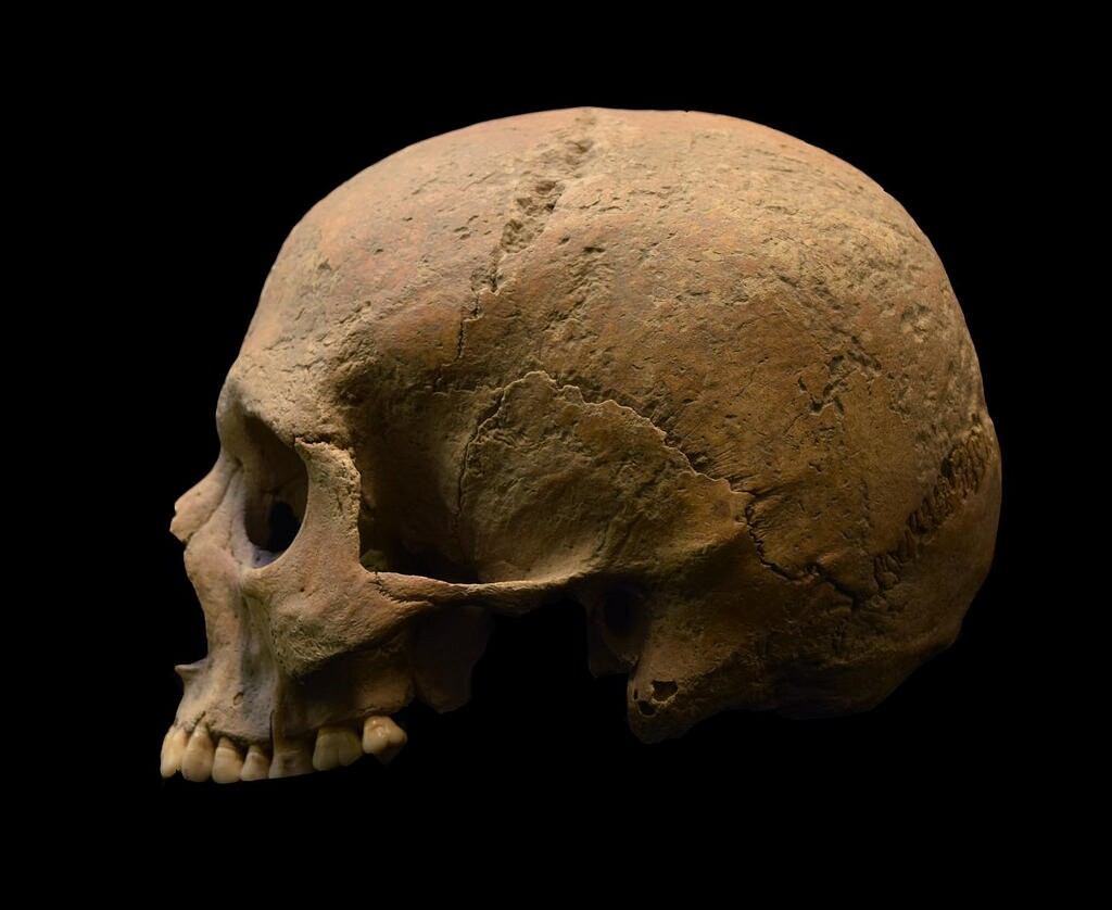 romancranium