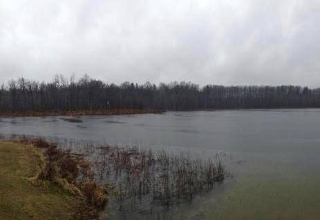 martinlakerevised
