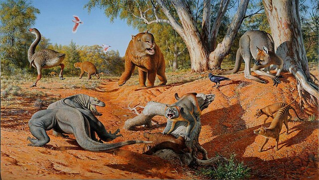 megafauna