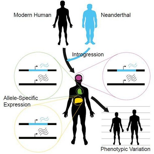 geneexpressionpic