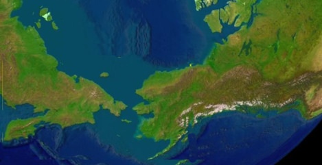 beringiapic
