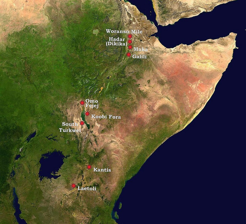 afarensismap