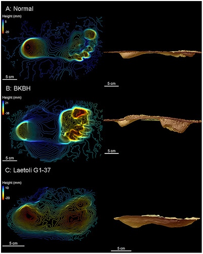 laetolifootprintstudy