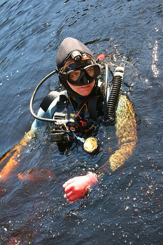 halligan waiting on surface 2012