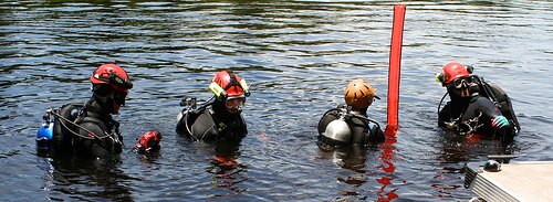 crew lined up for survey