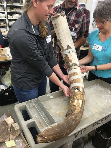 tusk reassembled